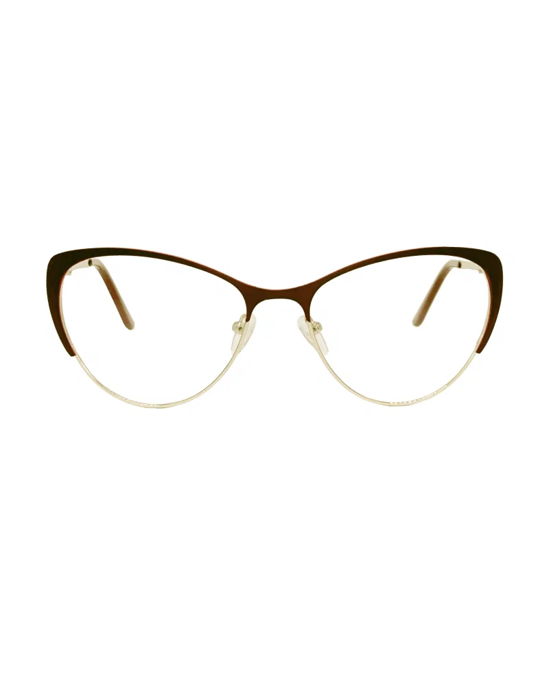 Оправа Dacchi D 33506 c4