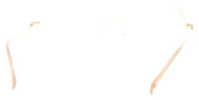 Оправа для очков ST. LOUISE 1451 2