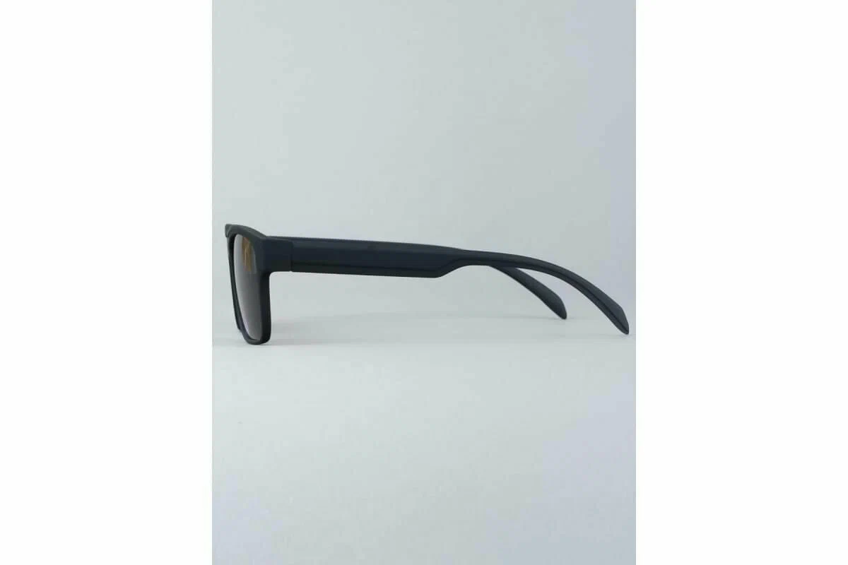 Готовые очки Most 3014 C2 Тонированные +0.75