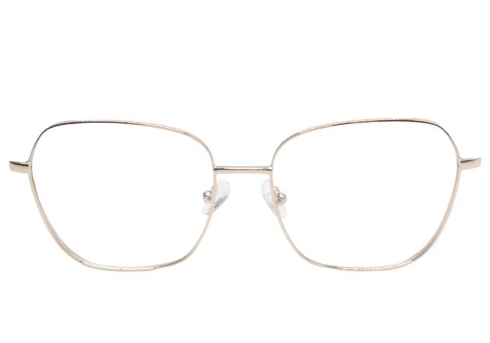 Оправа MEREL MR6495 C02