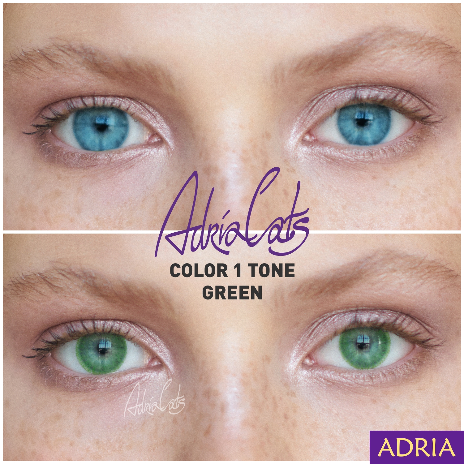 ADRIA COLOR 1 TONE (2 ШТ)