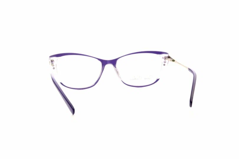 Оправа для очков PIERRE CARDIN 8505 RY8