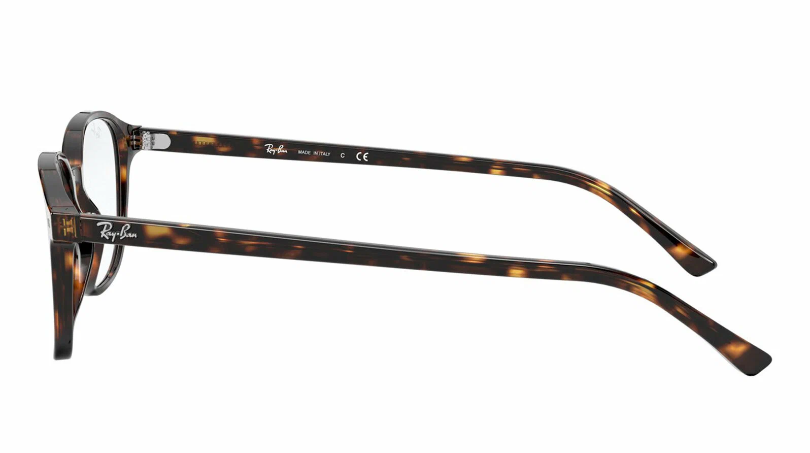 Оправа для очков Ray-Ban Leonard RX 5393 2012